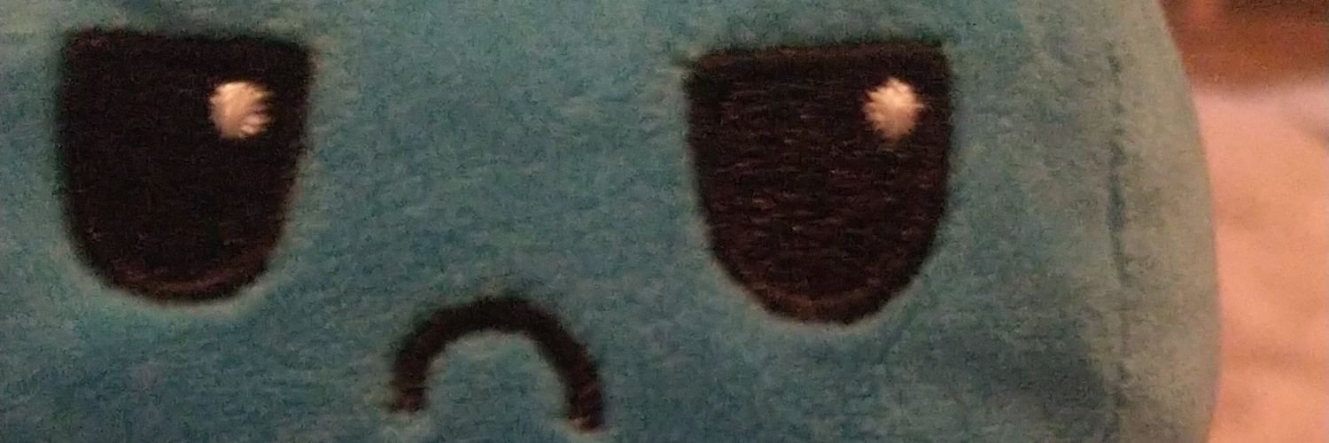 Gayest Willie banner