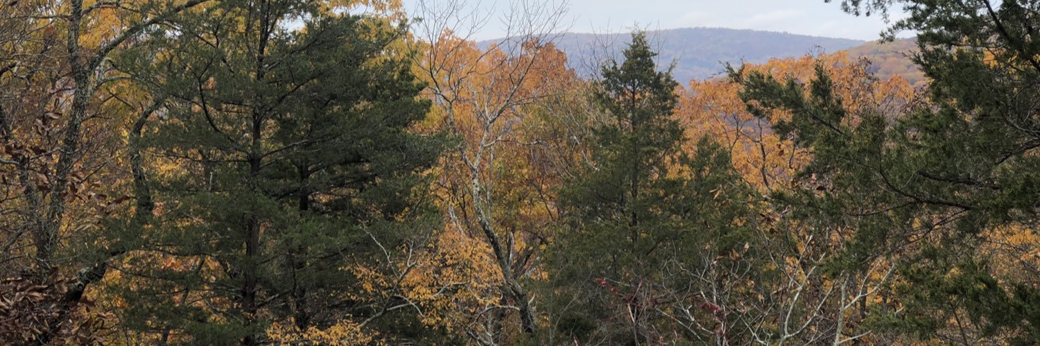 collverab3's profile banner image