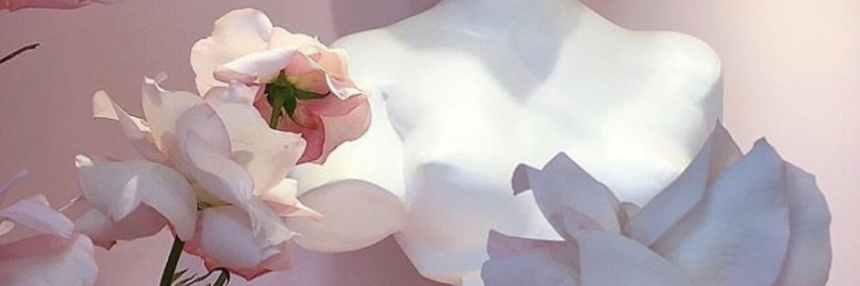 julietanari's profile banner image