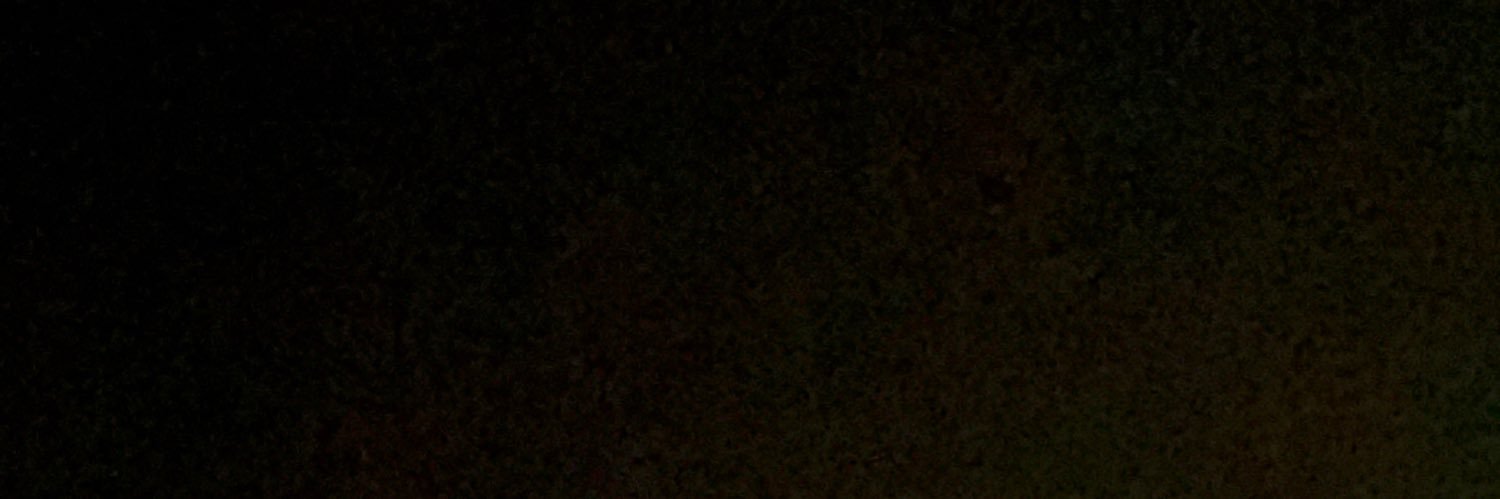 BarretoConserv's profile banner image