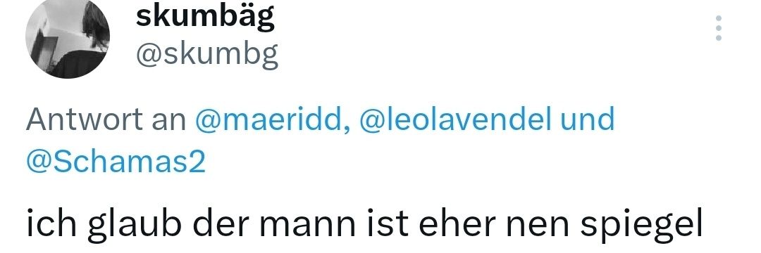leolavendel's profile banner image