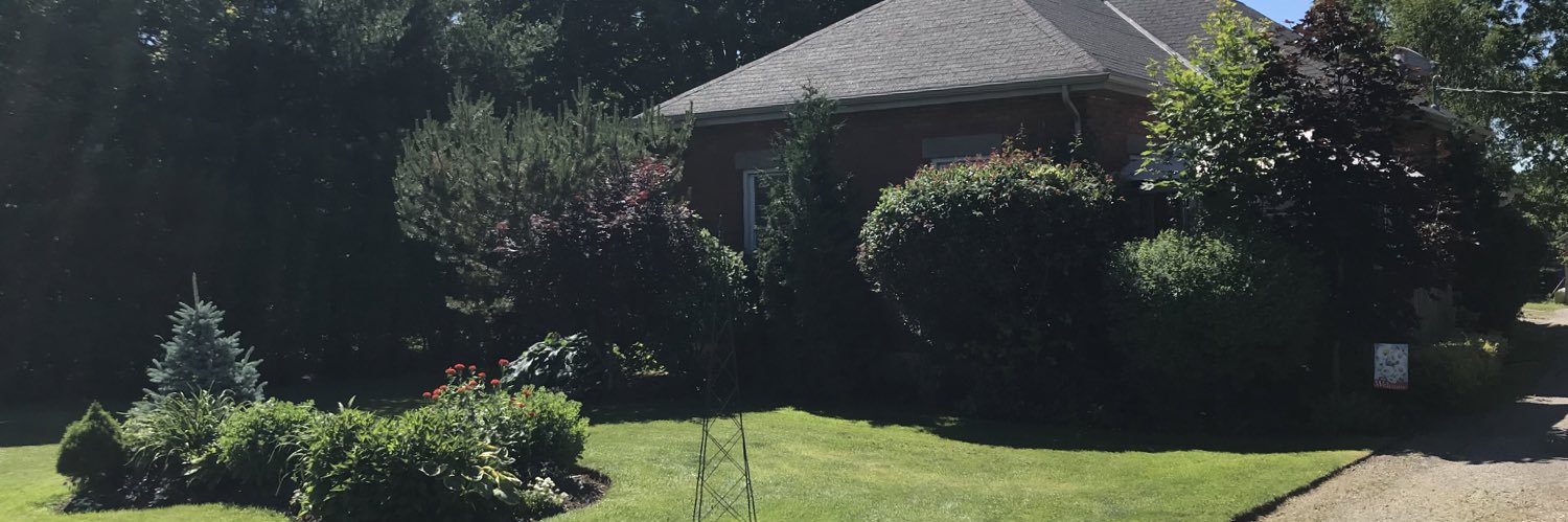 𝙼𝚊𝚛𝚔 𝚁𝚎𝚗𝚊𝚞𝚍 ✈️🏳️‍🌈🇨🇦🐕🏍🐈 banner