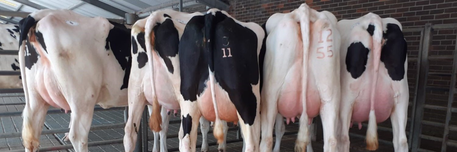 North West Auctions banner