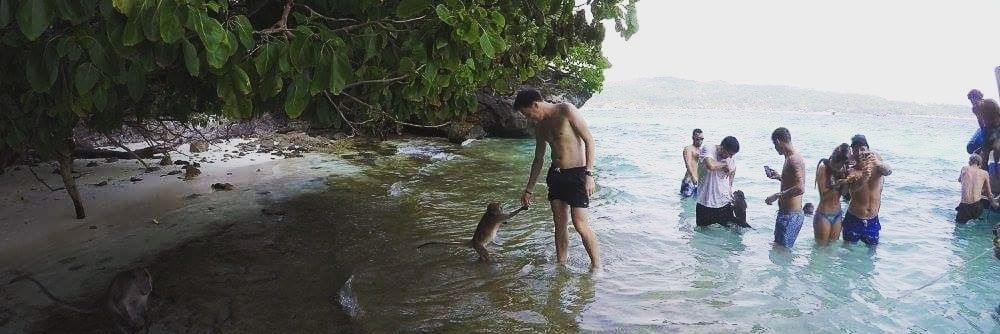 Joe Richardson banner