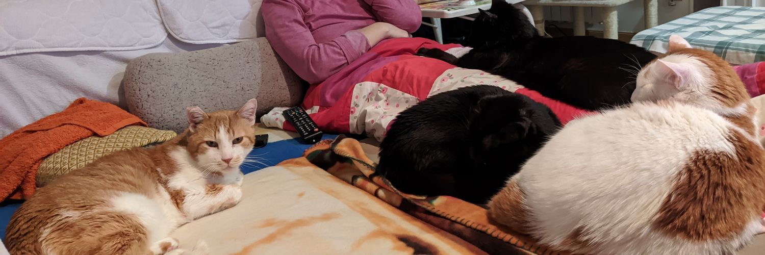 Santiago Antoñanzas banner