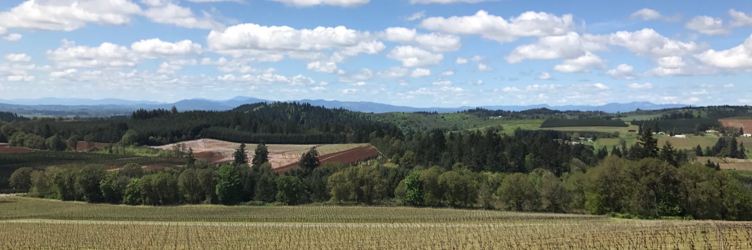 jbutson's profile banner image