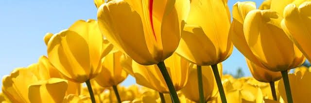 st | comms open banner