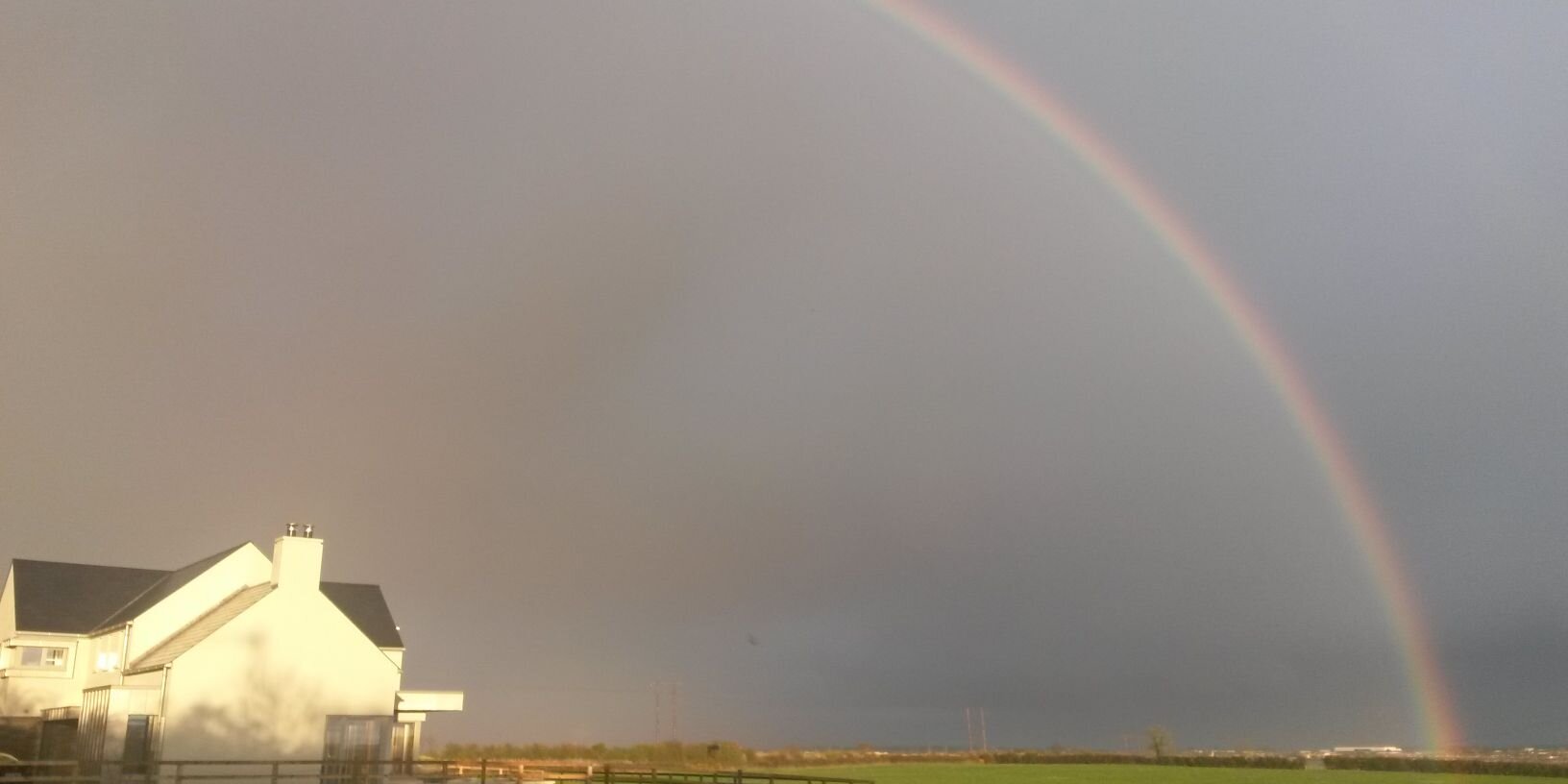 Dr Claire Brougham banner