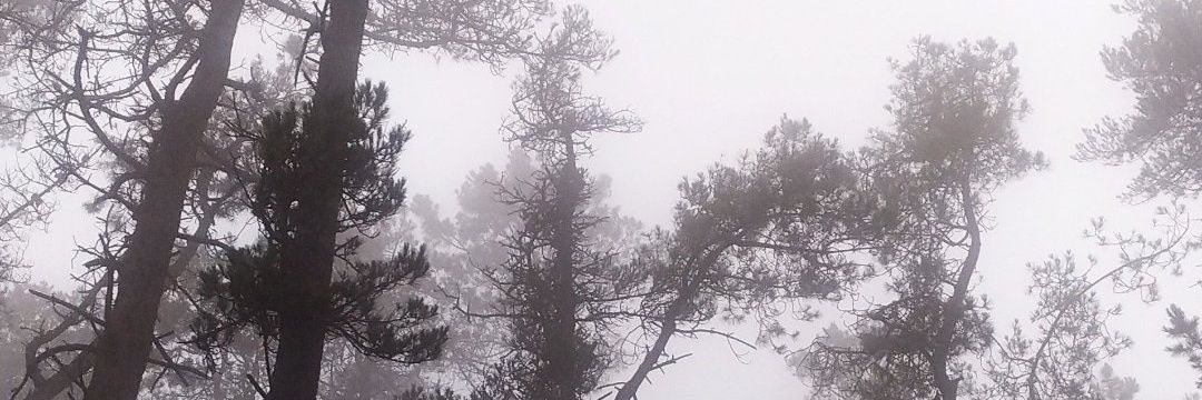 nereamontero99's profile banner image