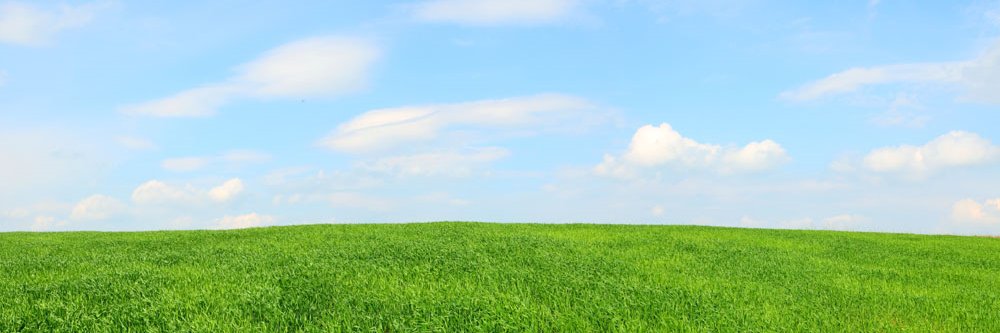 0532's profile banner image