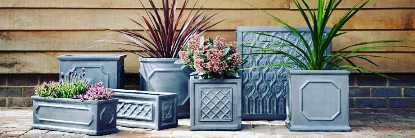 ThePotCompany's profile banner image