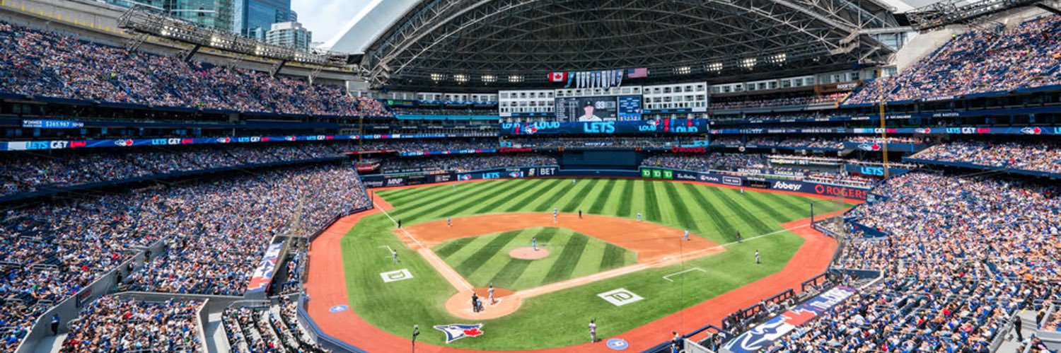 Baseball Guy banner