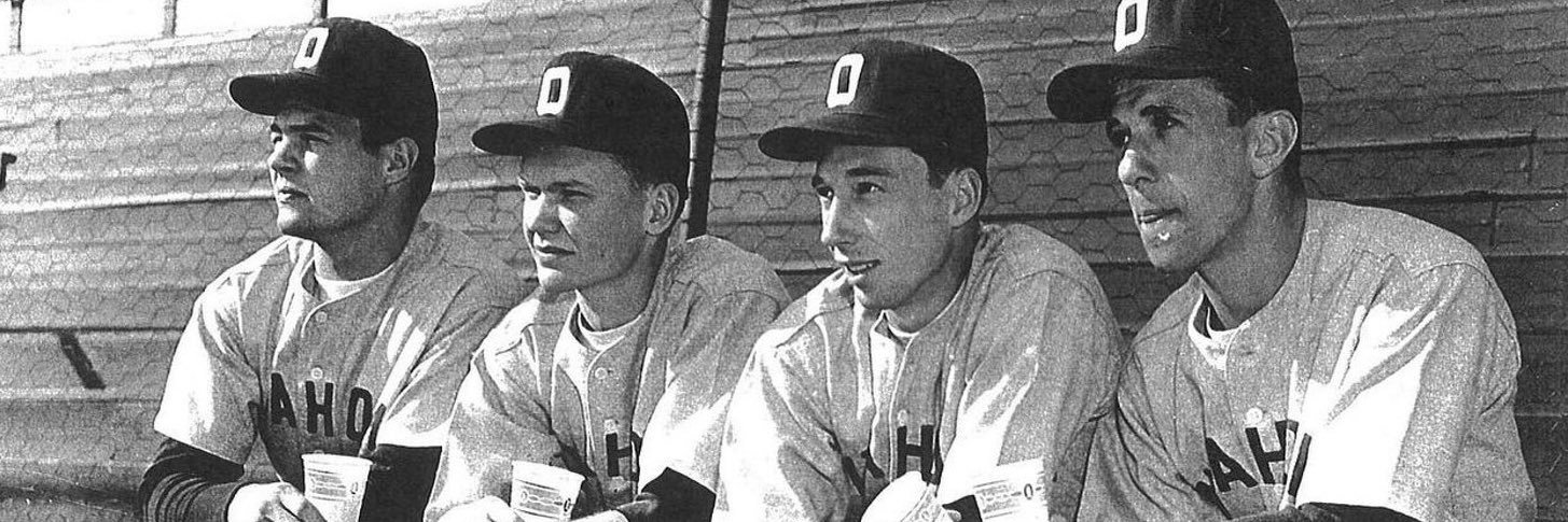 The Oklahoma Baseball Experience's banner