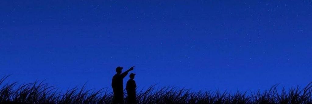 Blockchain Trillionaire banner