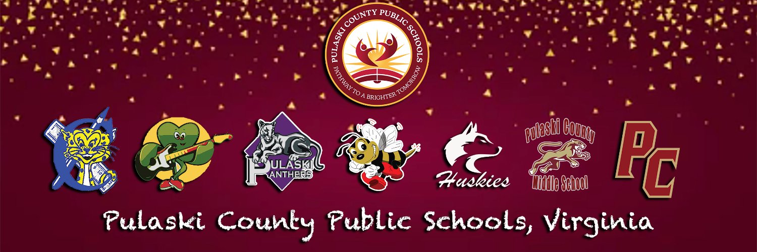 Pulaski County Public Schools banner