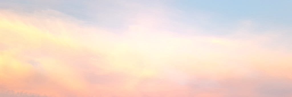 AmyvanSon's profile banner image