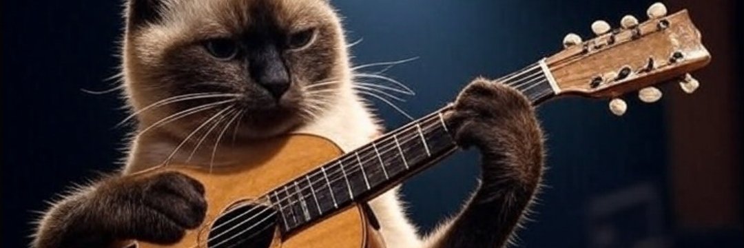 Thunder Haarp banner