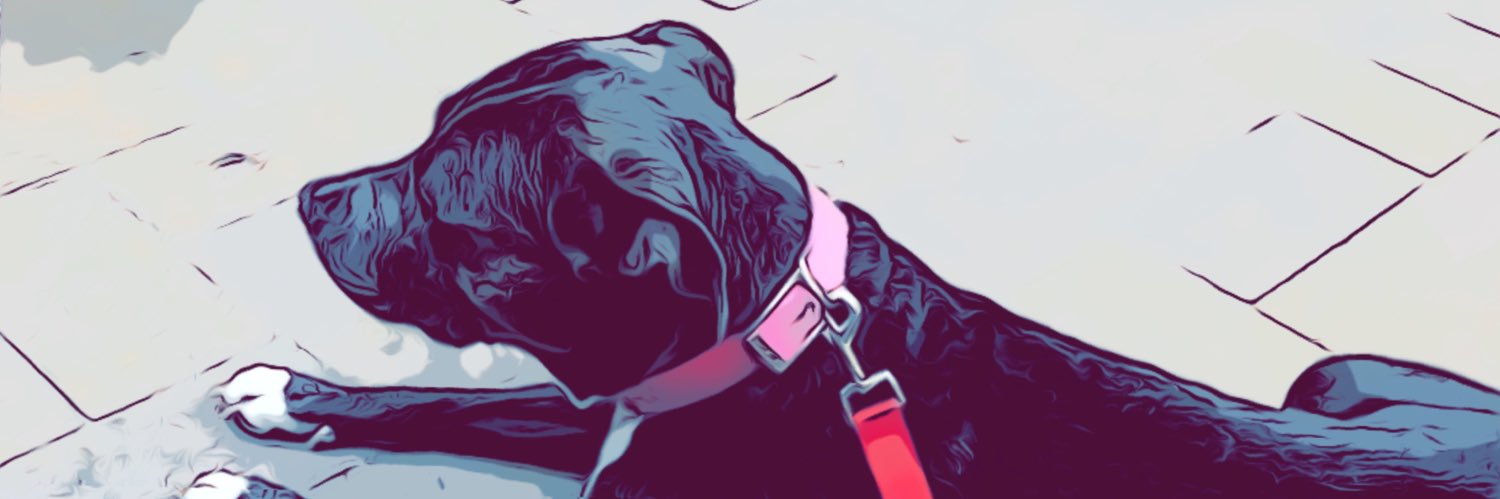 _nancee's profile banner image