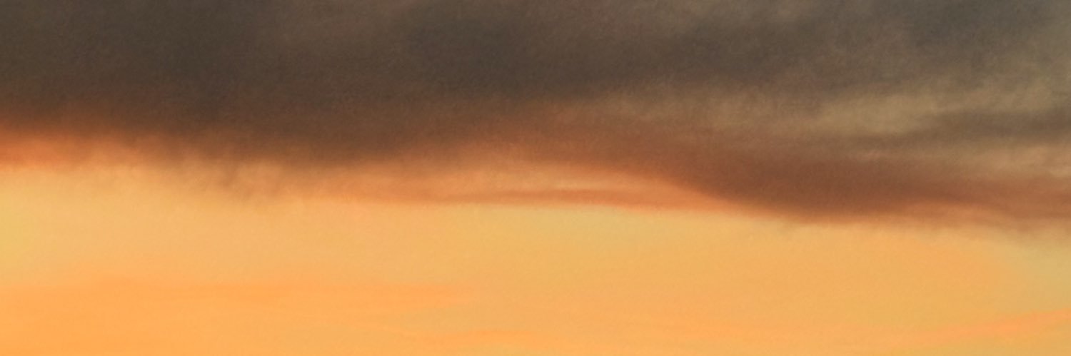 Cameron Abrams banner