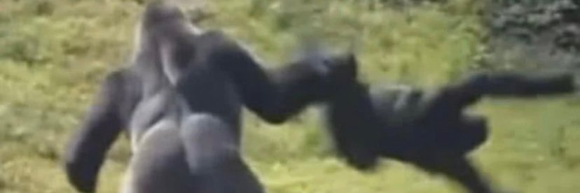 ᵀʰᵉ ᴸᵃʳᵍᵉˢᵗ ᴾʳᵒˢᵗᵃᵗᵉ ᶦⁿ ᵗʰᵉ ᵂᵉˢᵗ 🤠 banner