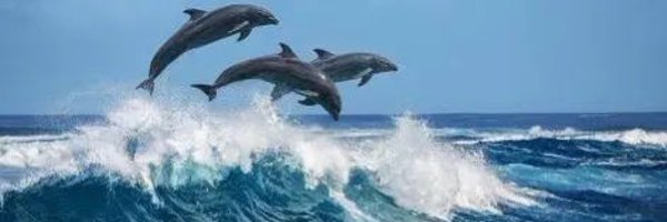 OceanLakesSAC Profile Banner