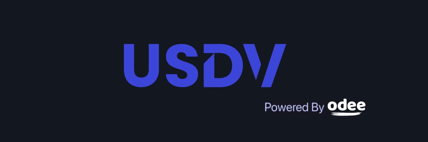 USDV_'s profile banner image