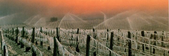 TCWineFest's profile banner image