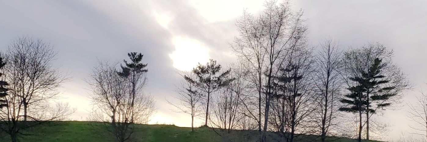 maryboldt_'s profile banner image