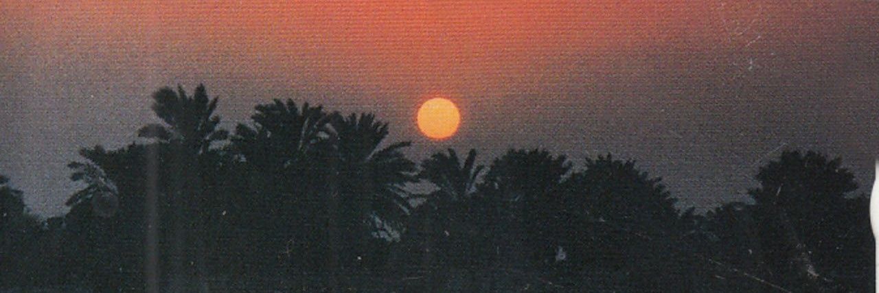 dedacarpinski's profile banner image