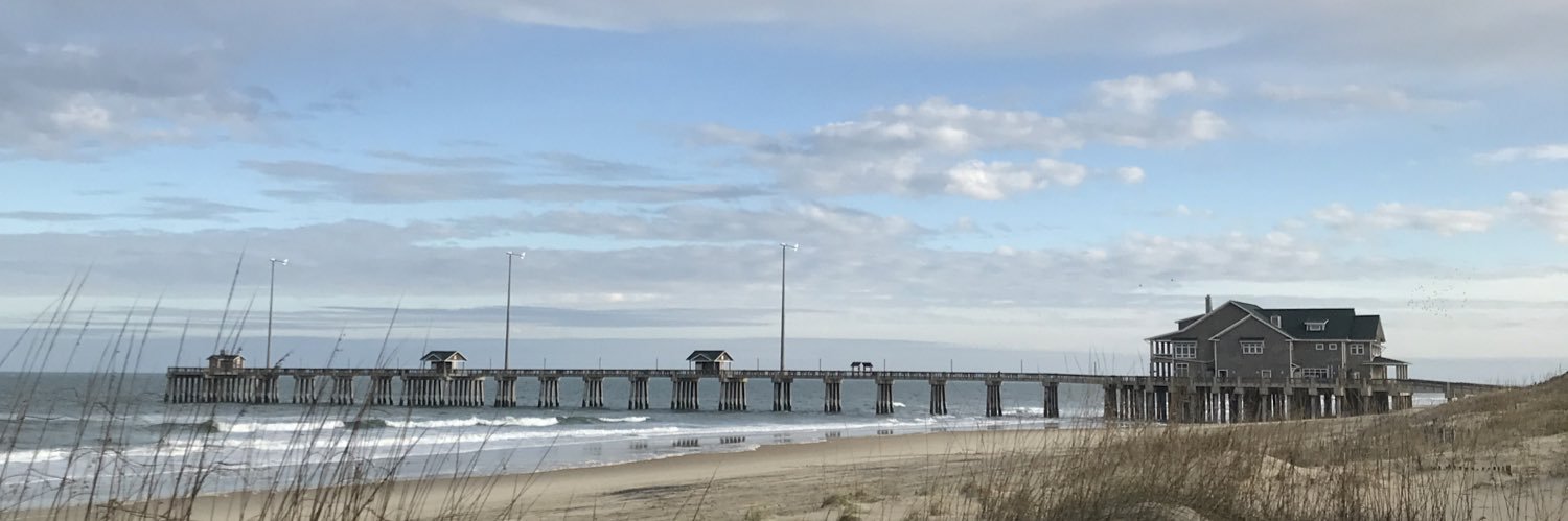 Cara Ellen Modisett banner