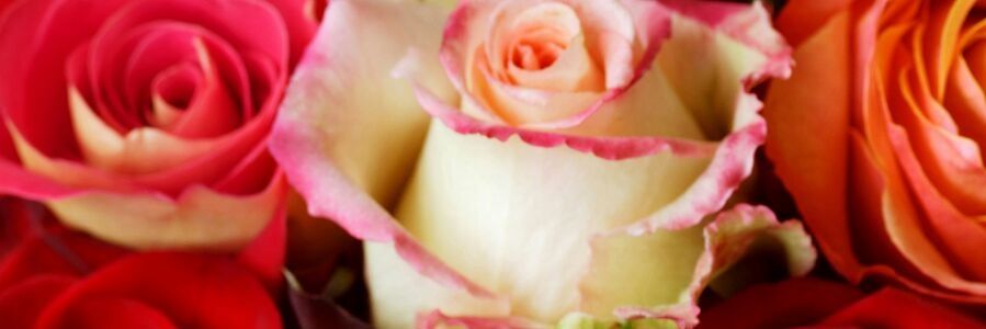 OHowon's profile banner image