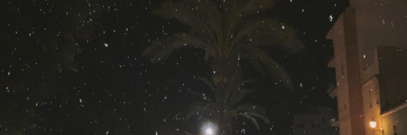 luanaulc's profile banner image