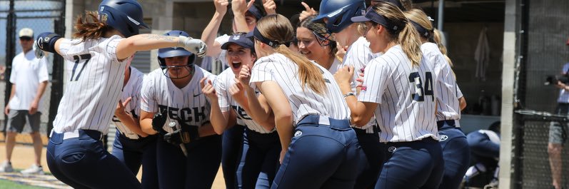 Oregon Tech Softball banner