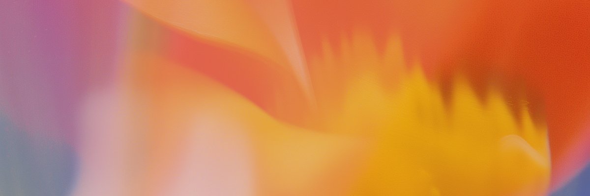 fedesdp's profile banner image
