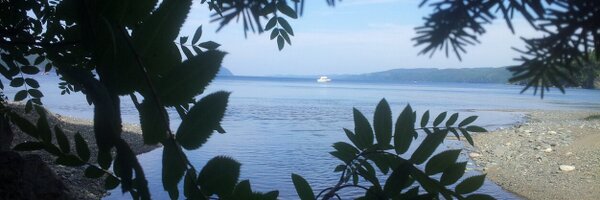 roxy_rabbott96 Profile Banner