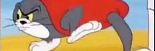 _Zoinks_'s profile banner image