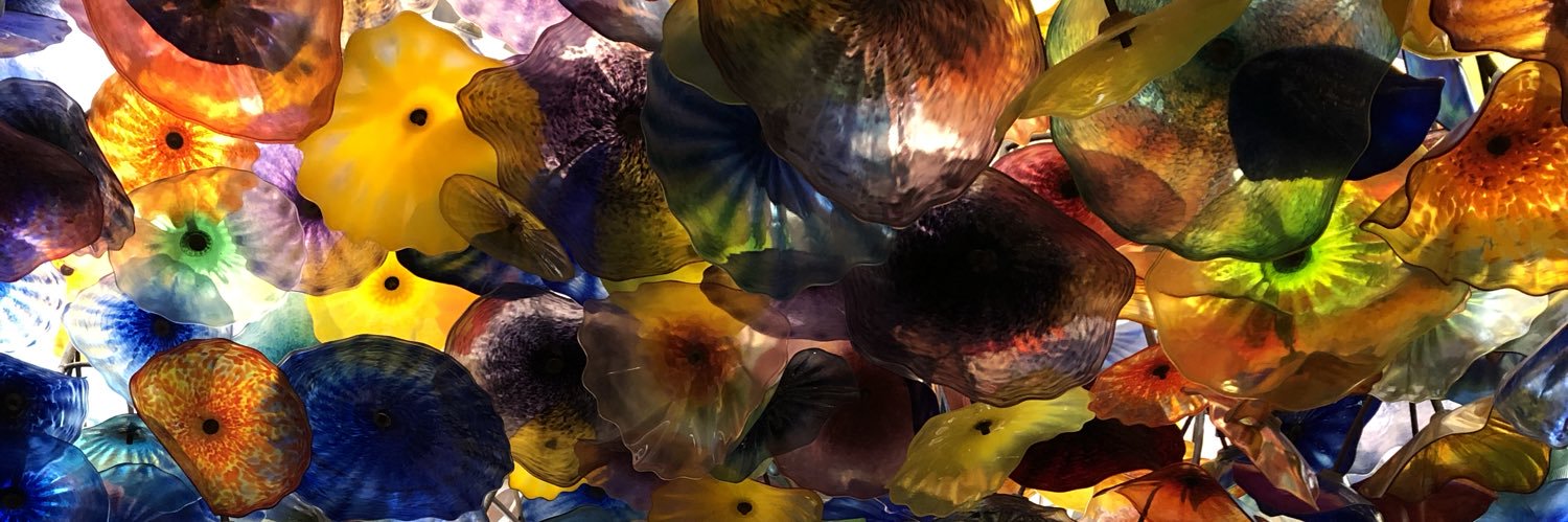 Amigarnacha's profile banner image