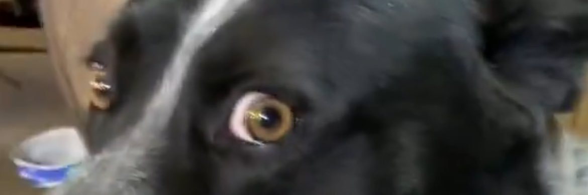 LiamBuck69's profile banner image