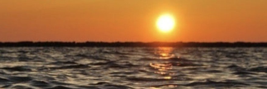 sall998's profile banner image