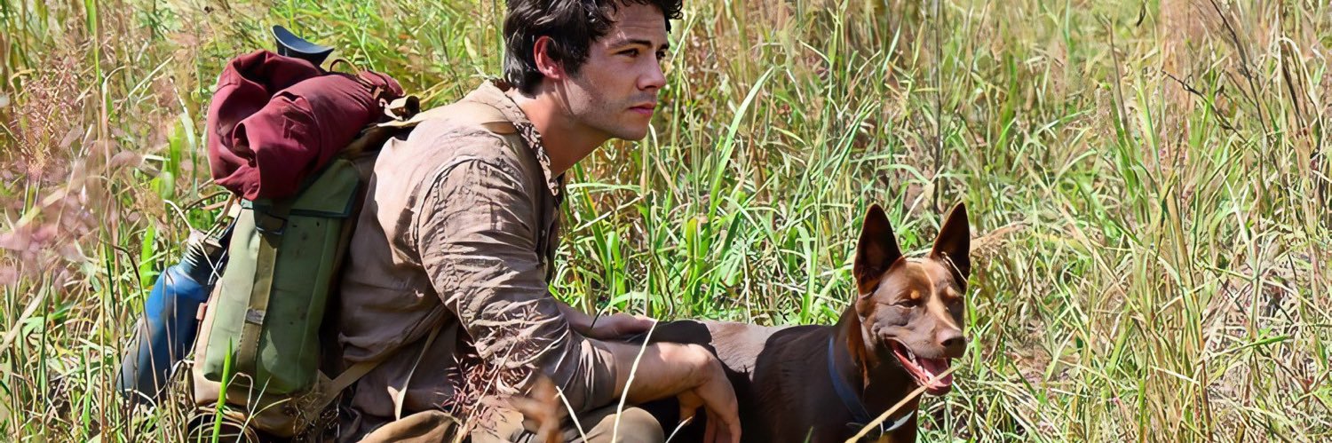 DylanOBrienIT's profile banner image