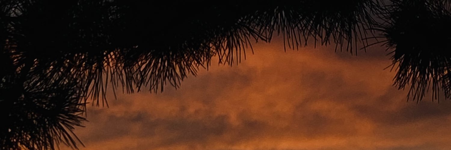 bensuersoyy's profile banner image