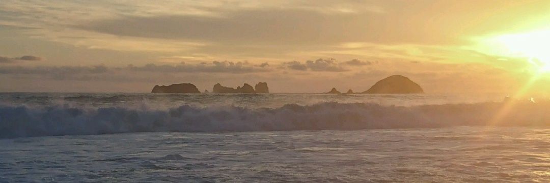 anitavegadg's profile banner image