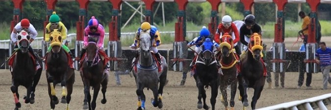 Rating_Horse's profile banner image