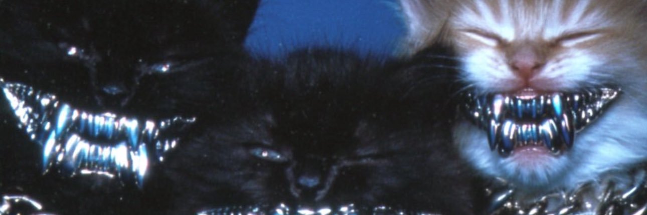 D(M)VBOTTOM banner