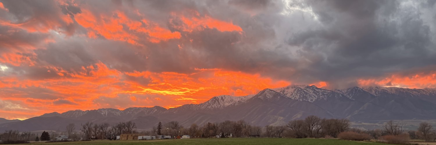 Exander Miller banner