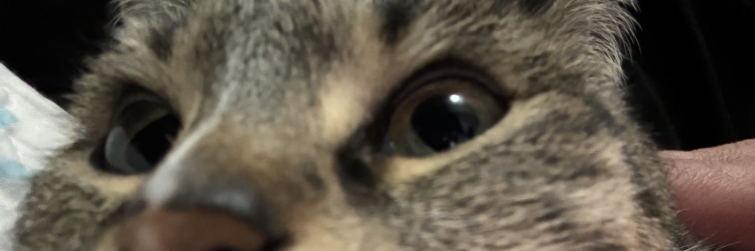 cemturnaa__'s profile banner image