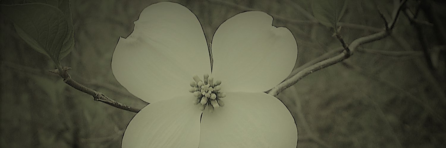 AnnetteKay1962's profile banner image