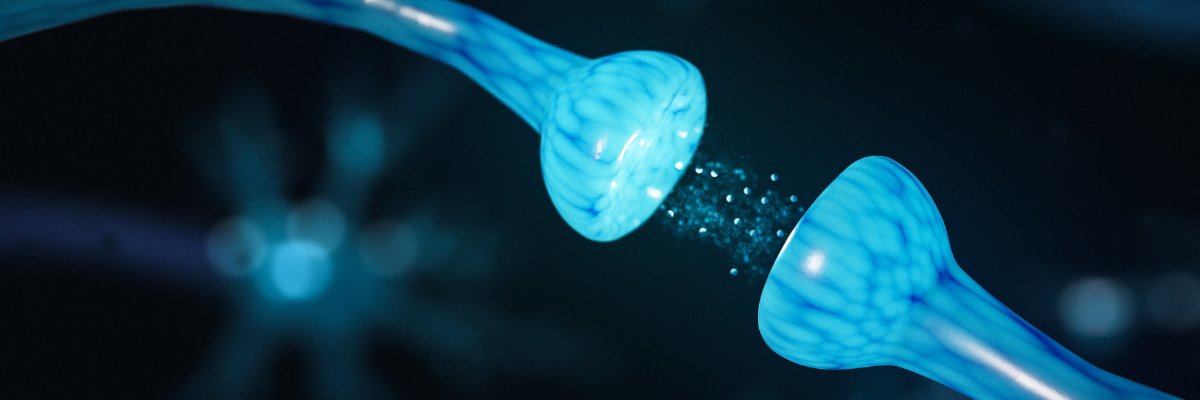 Neurona_Digital banner