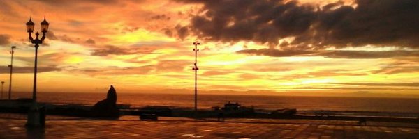 rogarrone Profile Banner