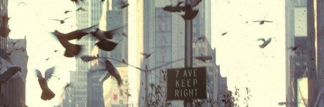arthcys banner